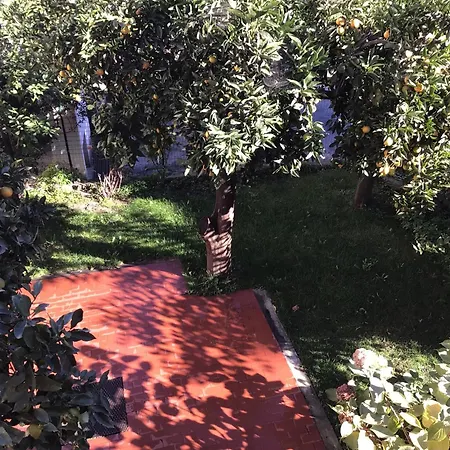 Casa Luigia Mtb In Finalborgo Bike Tour Ebike Trekking Guest house 3*